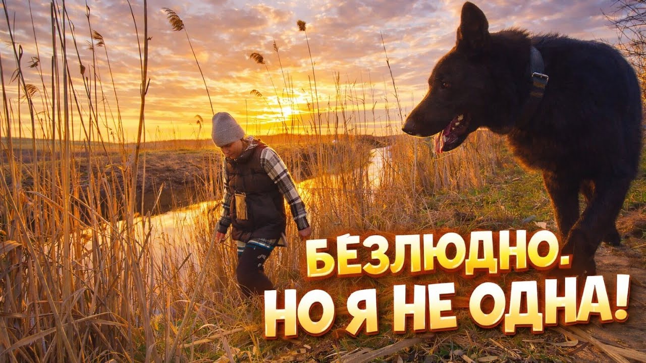 Измаильский район. ВЫШЛИ ЗА СЕЛО. УРА, ОТСНЯЛА! И ЗАМЕРЗЛА...