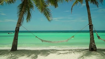 Relaxing palm trees and a gentle swaying hammock ambience ASMR 4K UHD