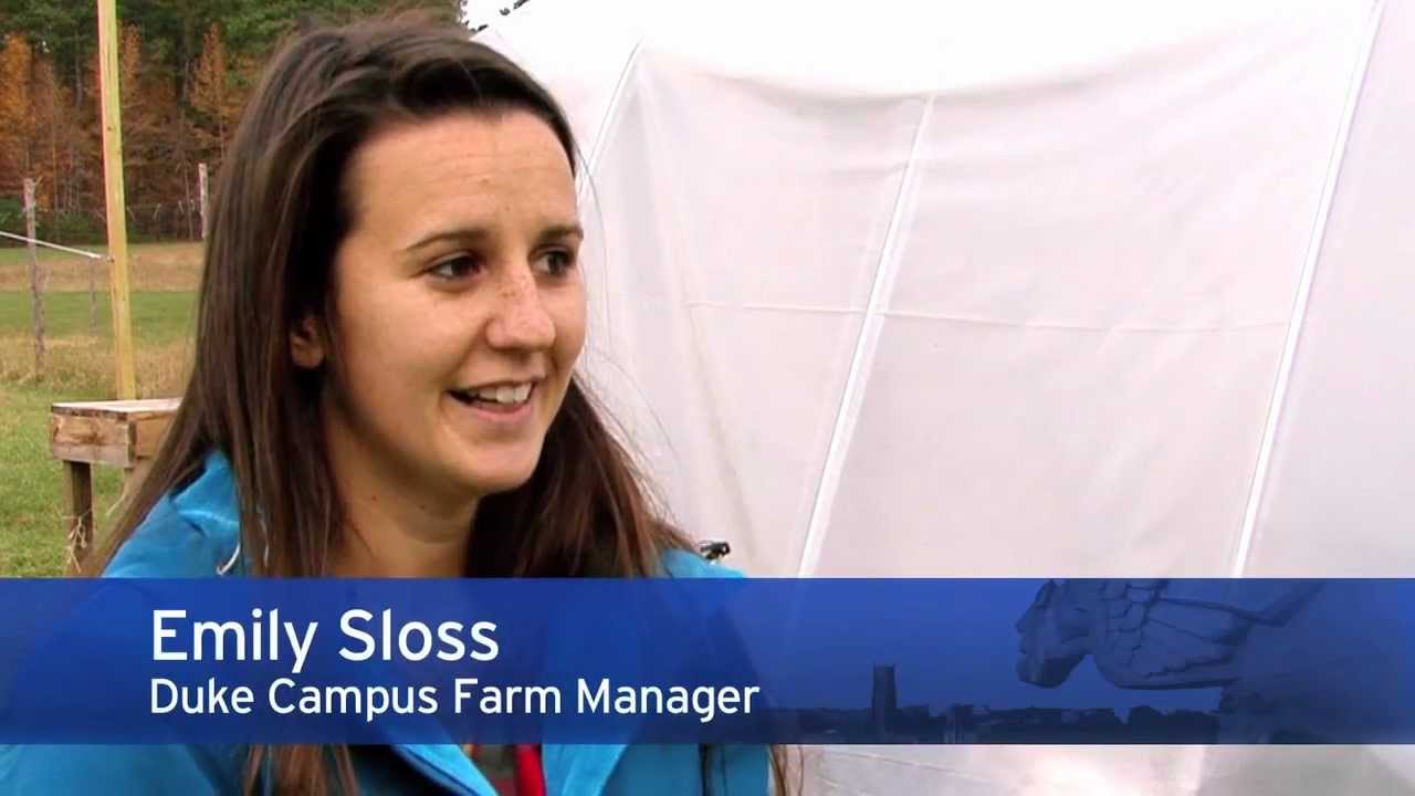 farmers insurance Growing a Farm