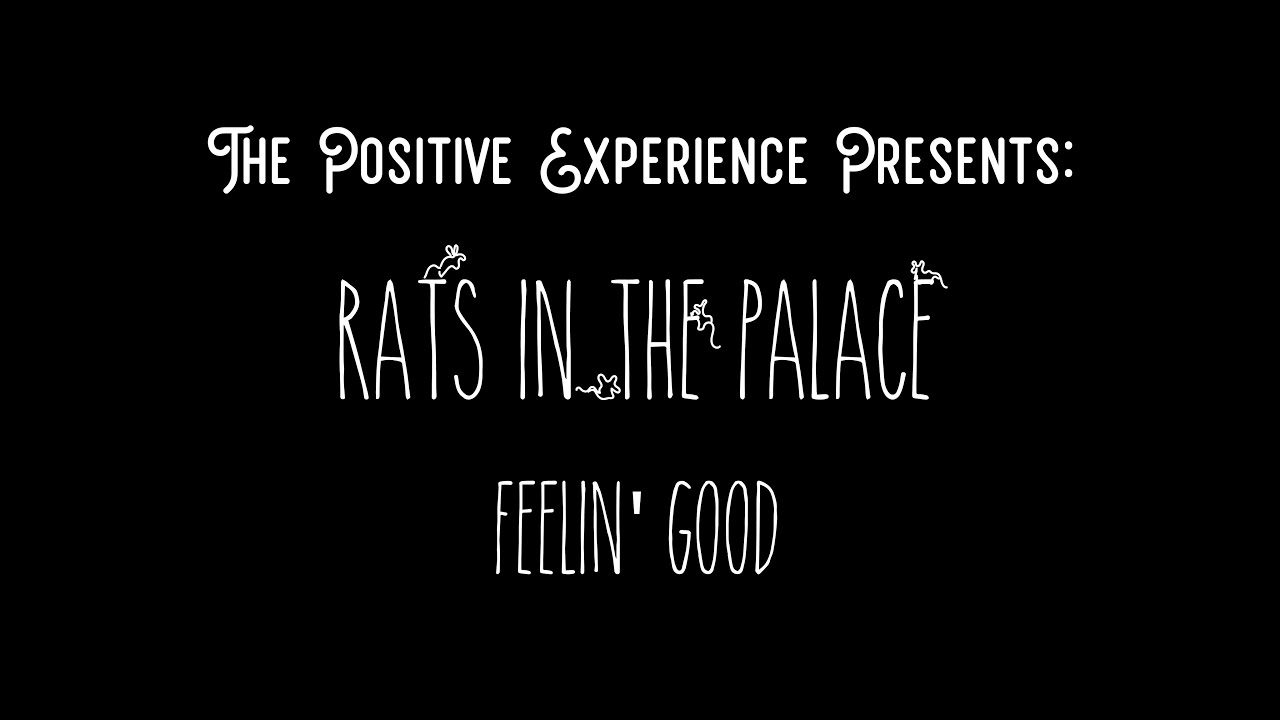 The Positive Experience - Feelin' Good
