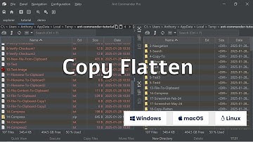 Copy and Move Files Flatten #files #filemanager