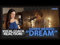 Vocal Coach REACTION - Shawn Mendes - Dream | 30 Day Singer
