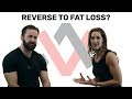 Can You Cut Right After a Reverse Diet? | Switching from Reverse to Fat Loss