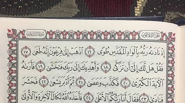 سورة النازعات بصوت الشيخ هلال الدعيس