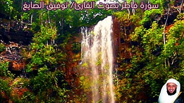 سورة فاطر بصوت القارئ/ توفيق الصايغ - Surat Fatir