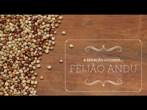 A redação cozinha... Feijão andu