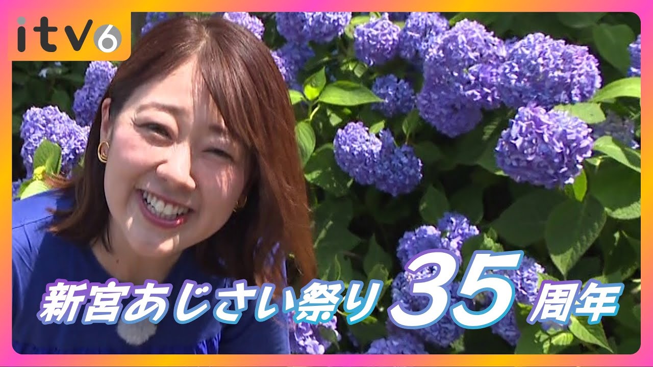 【35周年】愛媛・新宮あじさいの里へ！絶景と団子を味わう「あじさい祭り」レポ