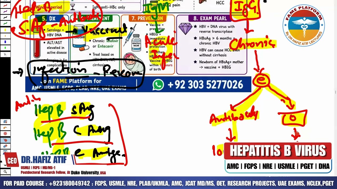 HEPATITIS B VIRUS | Rapid Revision | High-Yield Topic | Dr Hafiz Atif #nre #fcps #amc #pget #nclex