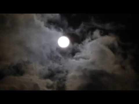 kadhale-kadhale-|-bgm-|-96-|-what's-app-status