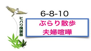 ぶらり散歩「夫婦喧嘩」