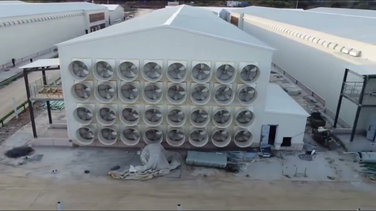 600,000 standardized layers breeding farms provide quality services to customers all over the world.