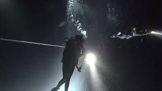 Pelagic Magic whole dive (uncut)