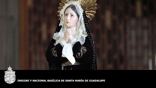 Viernes Santo, Meditación del Pésame a la Virgen, 25 de marzo de 2016