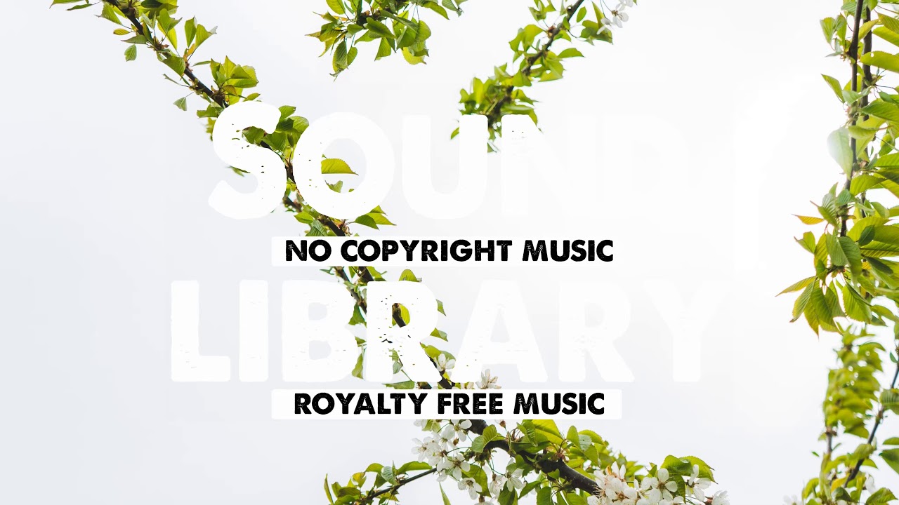 Cowboy Lullaby JHS Pedals [Vlog No Copyright Music] Country & Folk