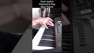Peacherine Rag - Short