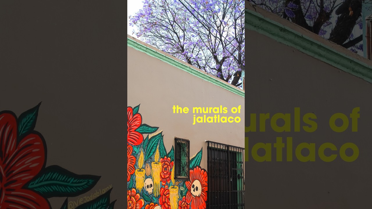 While the classic waltz song in this reel of “Tehuantepec” is more about the tropical soul and legendary beauty of the Isthmus, you can find that exact same magical crazy colorful spirit splashed across the colorful walls of……

Barrio de Jalatlaco in Oaxaca City.

Dating back to its pre-Hispanic roots as a Zapotec village, Jalatlaco is one of Oaxaca’s oldest and most charming neighborhoods.

Today, its quiet cobblestone streets have become a canvas for local and Indigenous artists. The murals here are far more than just decoration…. they tell the deep, resilient stories of Oaxaca’s cultural heritage, folklore, and cherished traditions like Día de los Muertos.

If you haven’t wandered through Jalatlaco yet, make sure you do on your next trip to Oaxaca ;)

#oaxaca #jalatlaco #oaxacadejuarez #mexicotravel #streetartoaxaca