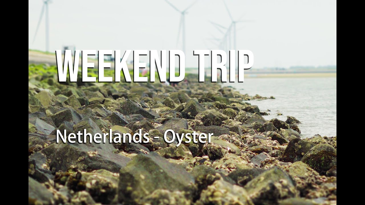 Weekend trip Netherlands - Pick Oyster