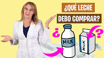 ¿Por qué es mejor la leche entera?