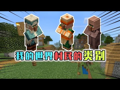 我的世界：村民的各种类别，傻子村民好吃懒做，但是却很老实！