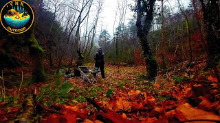 Solo Hiking in Rainy and Foggy Forest | Relaxing Walk with Nature Sounds | 4K ASMR | Virtual Hike