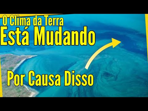 Vídeo: A Corrente do Golfo para. A humanidade está enfrentando uma catástrofe?