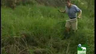 Famous Corwin Profile