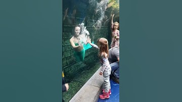 Bắt gặp Nàng tiên cá ngoài đời đẹp thật#shorts