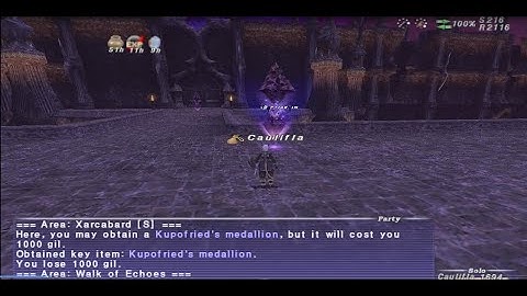 FFXI - Walk of Echoes Surged Drops