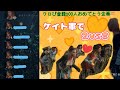 【DBD】ケイト軍で2vs8❷&通常鯖を数戦