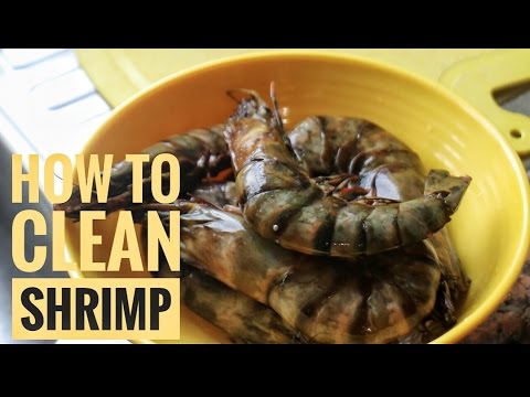 shrimp clean