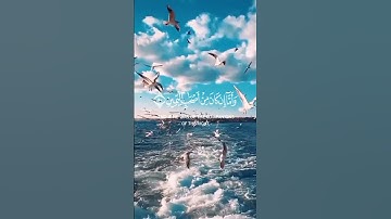 صلوا على النبي محمد 🥹 قران كريم بصوت الشيخ