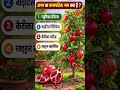 Comment me Batao 🤔🤨 #shorts #short #trending #viral #youtubeshorts #youtube #farming #अनार #views