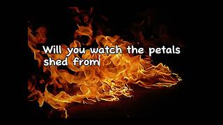 Crytal Castles- Transgender Sped Up Lyrics