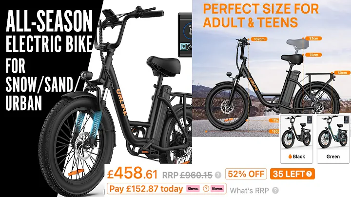 UR-LIFE E20 Pro Electric Bike Review 🚲 | Snow, Sand & City Ride Test | 250W Motor + 48V Battery