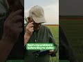 How Plot-Level Intelligence Transforms Farming