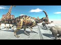 Middle of video