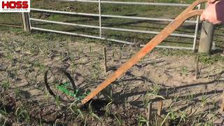 Wheel Hoe Weeding Garlic & Onions