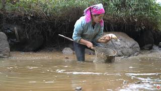 Amazing mud pond fish: Hand-catching giant catfish & grass carp for market sale with daughter & son