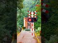 Railroad Crossing Running Over Bridge #Shorts