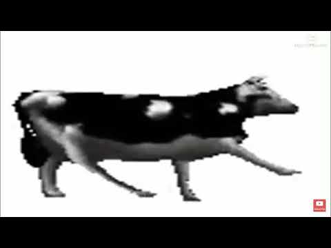 Dancing polish cow 10 minutes (almost).