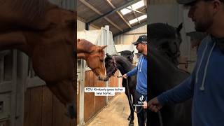 horses saying goodbye for the last time!!  #equestrian #viral #edit #youtube #horse
