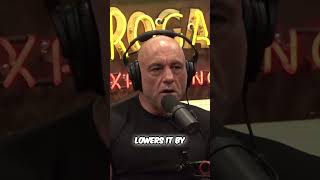 Source: Joe Rogan Experience #2149 - Sebastian Maniscalco  #foryou #joerogan #podcastclips #podcast Net Worth