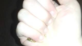 Sevalar Sevil Sevinç