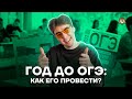 Год до ОГЭ: как его провести? | Биология ОГЭ 2022 | Умскул