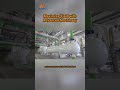 Unlock the Secrets of High-Efficiency Edible Oil Production with Myande