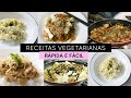 RECEITAS VEGETARIANAS RÁPIDA E FÁCIL (Ovo-Lacto) | Amanda Oliveira