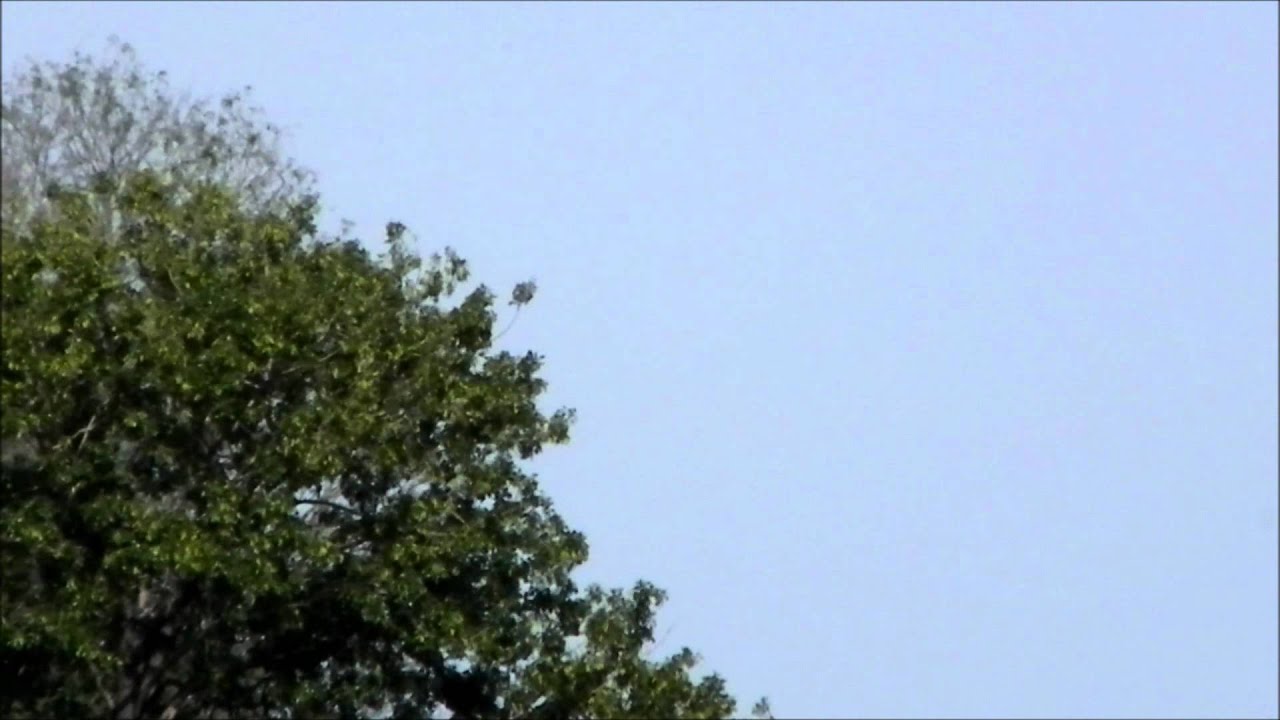 Saudi Arabian Airlines 747 landing at Islamabad (with ATC)