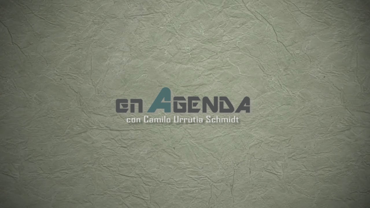 PROGRAMA EN AGENDA Nº 1 20 DE JUNIO 2017