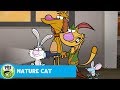 Daisy's Neighborhood Conservation Efforts