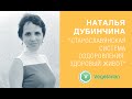 Наталья Дубинчина.  &quot;Старославянская система оздоровления: здоровый живот&quot;